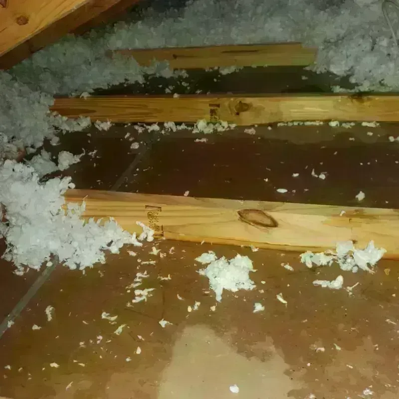 Attic Water Damage in Crothersville, IN